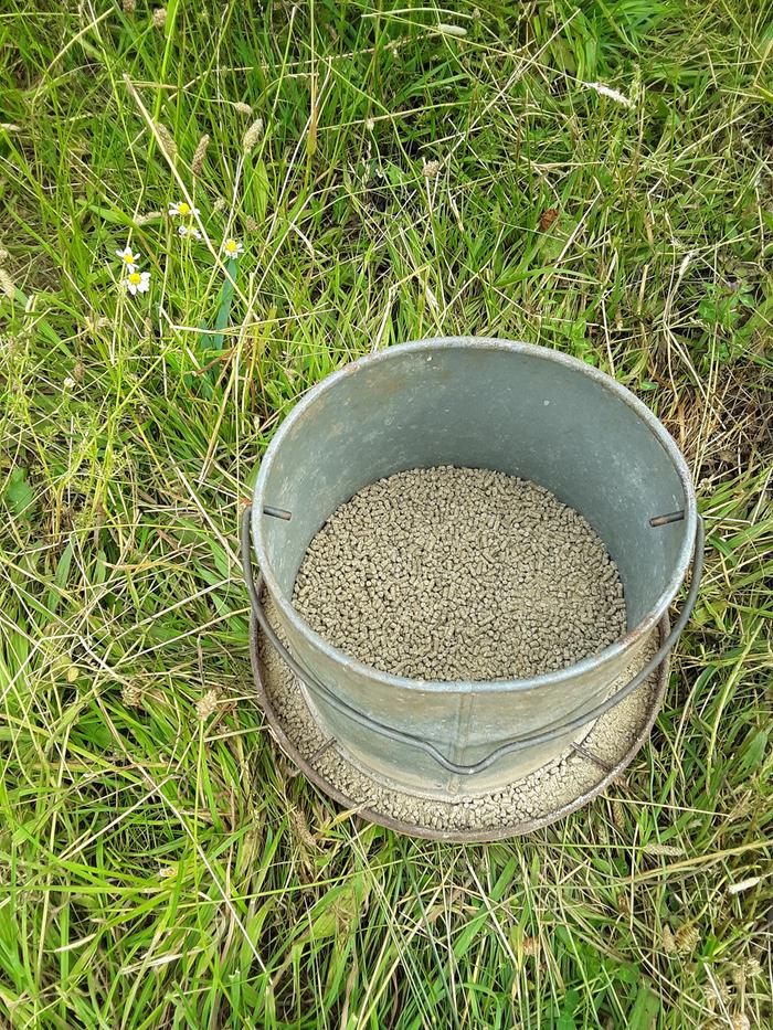 Refilled feeder
